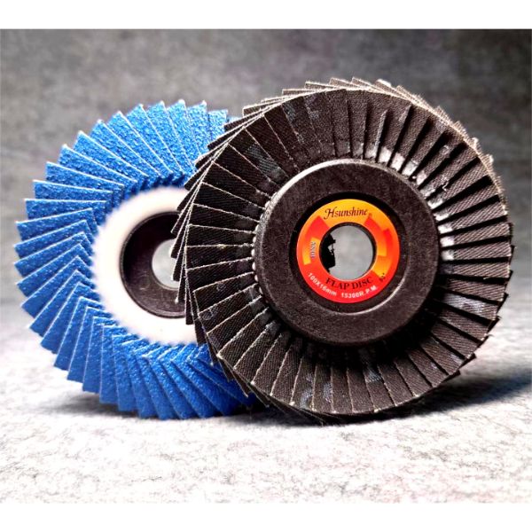 Flexible Disc